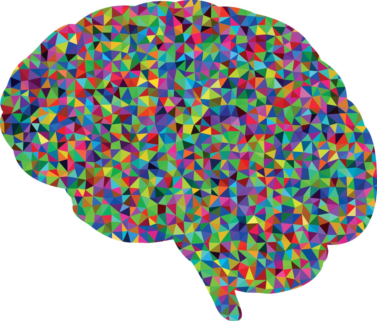 Acheter Troubles psychiatriques dans l’épilepsie : comprendre, diagnostiquer, traiter Troubles psychiatriques dans l’épilepsie : comprendre, diagnostiquer, traiter
