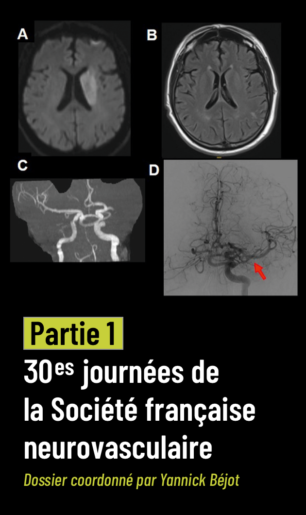 Spécial SFNV 2025 : les temps forts