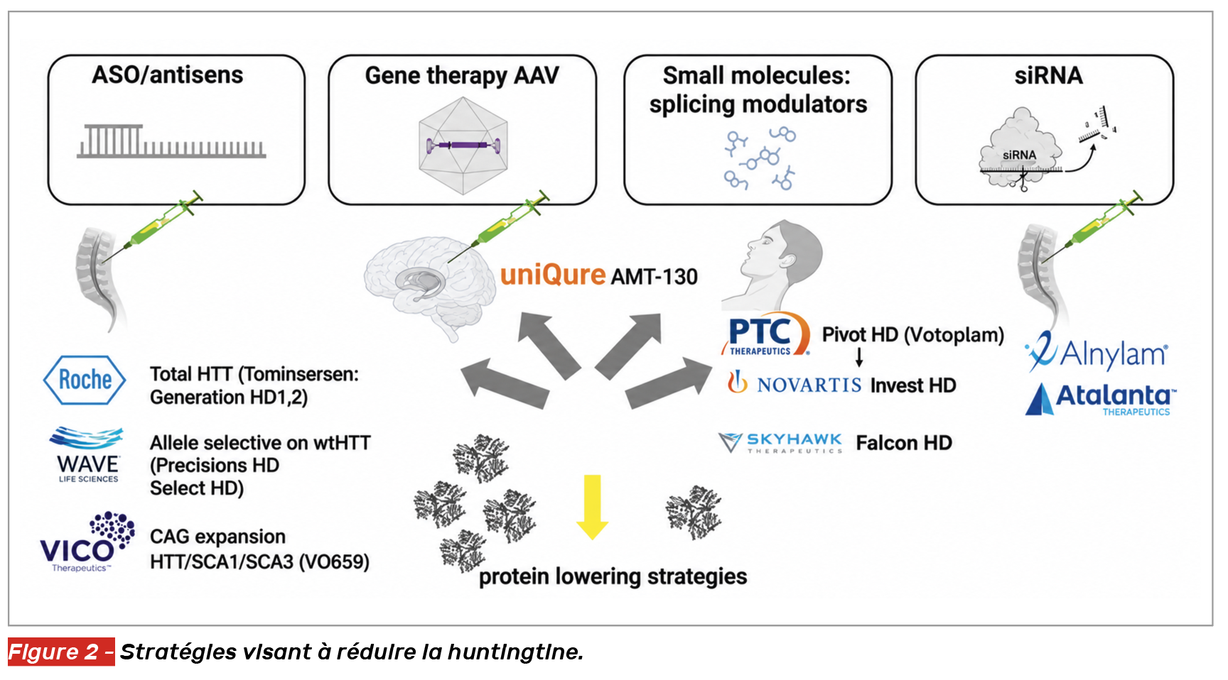 mouvements anormaux en neurologie